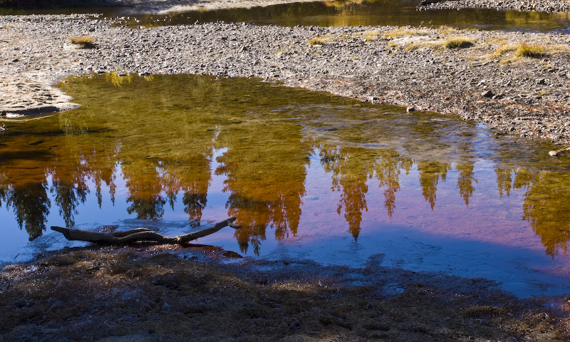 Reflections In The Tuolumne River